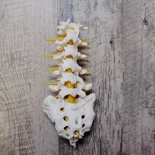 Spinal Stenosis and How to alleviate the pain